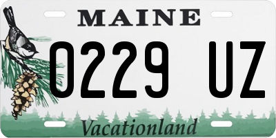 ME license plate 0229UZ