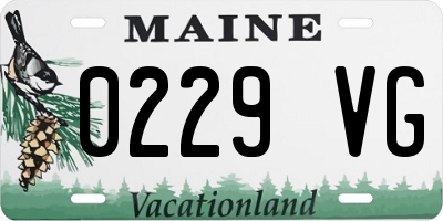 ME license plate 0229VG