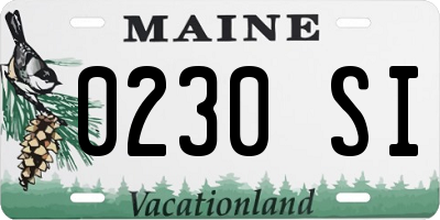 ME license plate 0230SI