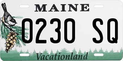 ME license plate 0230SQ