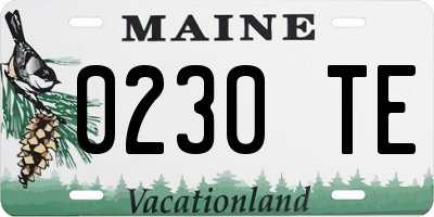 ME license plate 0230TE