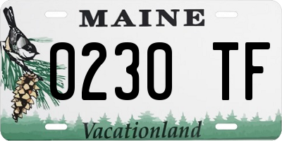 ME license plate 0230TF