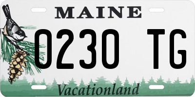 ME license plate 0230TG