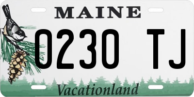ME license plate 0230TJ