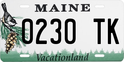 ME license plate 0230TK