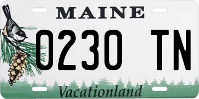 ME license plate 0230TN
