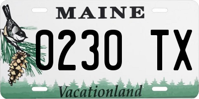 ME license plate 0230TX