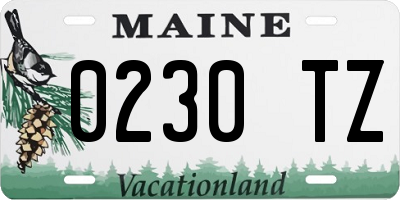 ME license plate 0230TZ