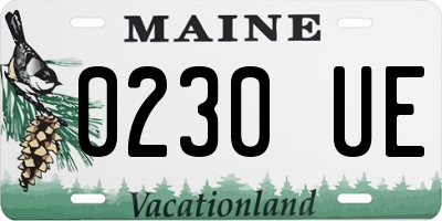 ME license plate 0230UE