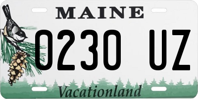 ME license plate 0230UZ