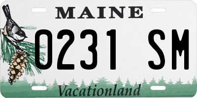 ME license plate 0231SM