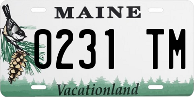 ME license plate 0231TM