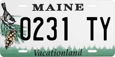 ME license plate 0231TY