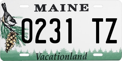 ME license plate 0231TZ
