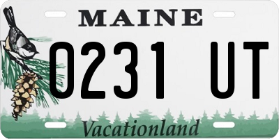 ME license plate 0231UT