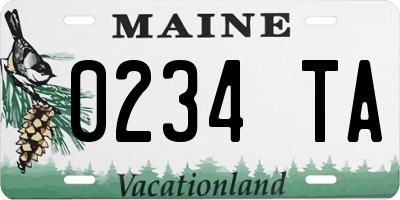 ME license plate 0234TA