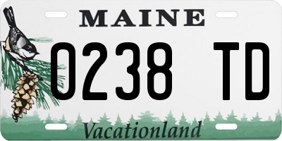 ME license plate 0238TD