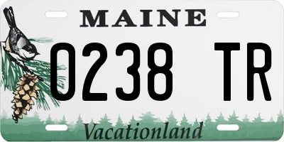 ME license plate 0238TR