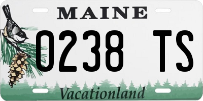 ME license plate 0238TS