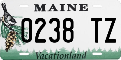 ME license plate 0238TZ