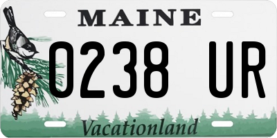 ME license plate 0238UR