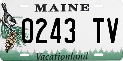 ME license plate 0243TV