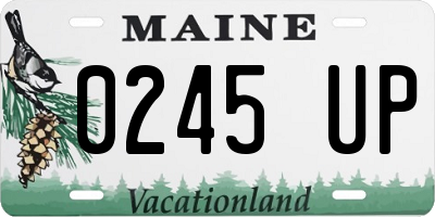ME license plate 0245UP