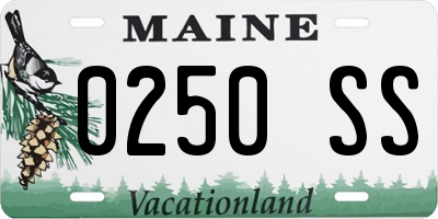ME license plate 0250SS