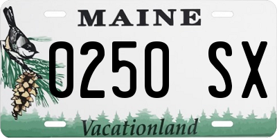 ME license plate 0250SX