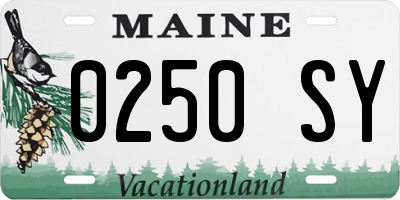 ME license plate 0250SY