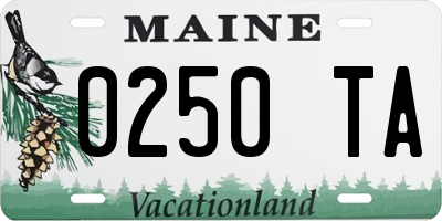 ME license plate 0250TA