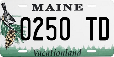 ME license plate 0250TD