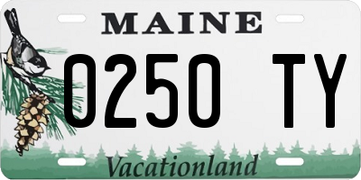 ME license plate 0250TY
