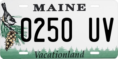 ME license plate 0250UV