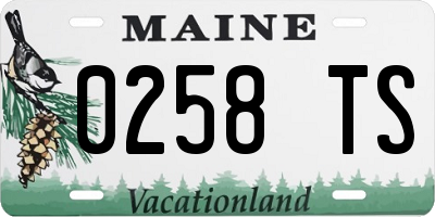 ME license plate 0258TS