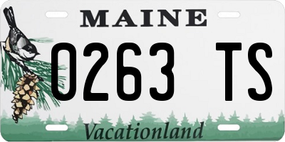 ME license plate 0263TS