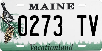 ME license plate 0273TV