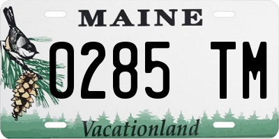 ME license plate 0285TM