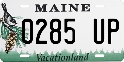 ME license plate 0285UP