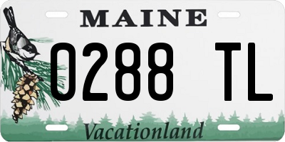ME license plate 0288TL