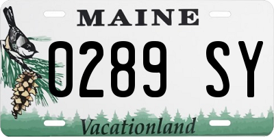 ME license plate 0289SY