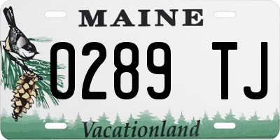ME license plate 0289TJ