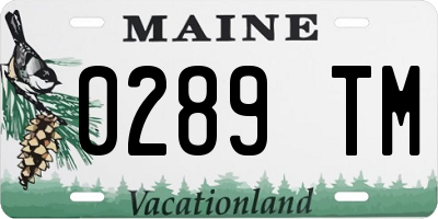 ME license plate 0289TM