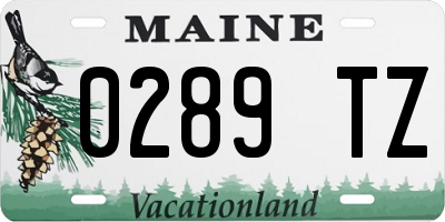 ME license plate 0289TZ