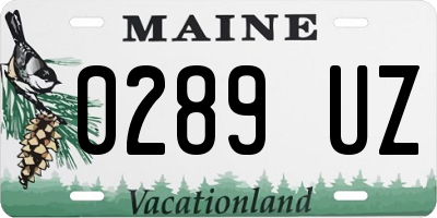 ME license plate 0289UZ