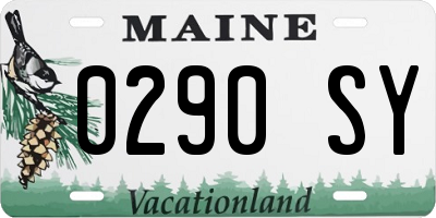 ME license plate 0290SY