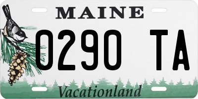 ME license plate 0290TA