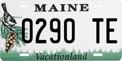 ME license plate 0290TE