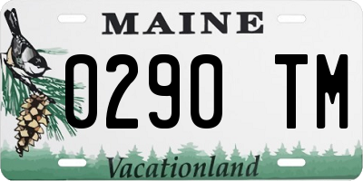 ME license plate 0290TM