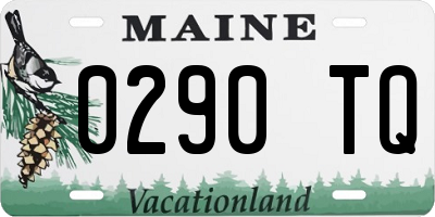 ME license plate 0290TQ